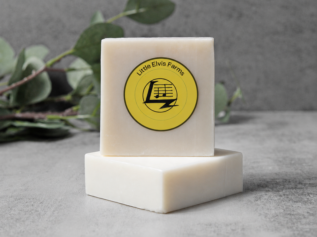A Rich, Creamy Lather: Why Goat Milk Skincare Feels So Luxurious