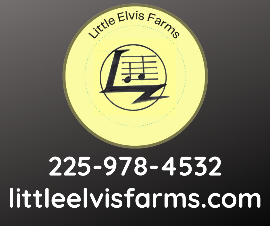 Little Elvis Farms Gift Card